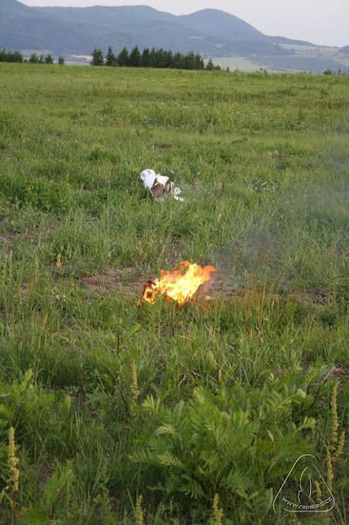 2012 Suche Mirek Topinka